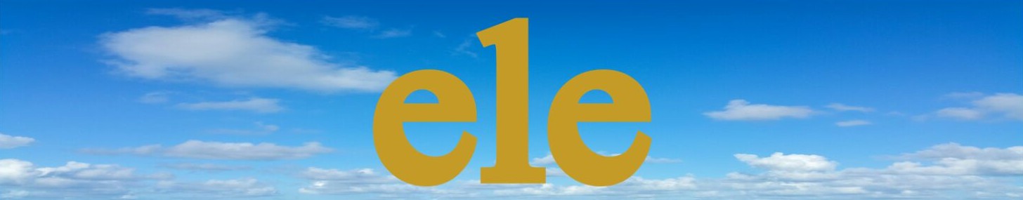 TRAJES DE BAÑO ELE.