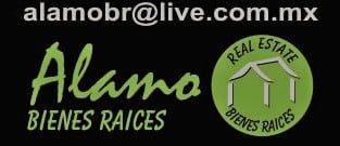 Alamo Bienes Raices