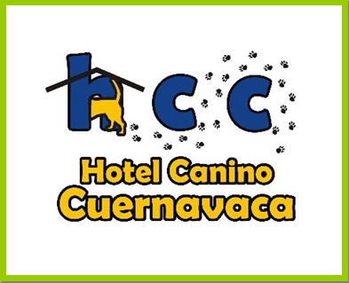 hotelcaninocuernavaca.com
