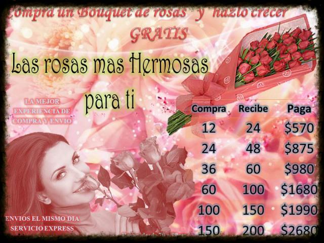 - Floreria La Flor Azteca ® Diseño Floral Profesional