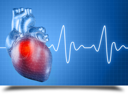 Heart health care|||| Heart health care||||