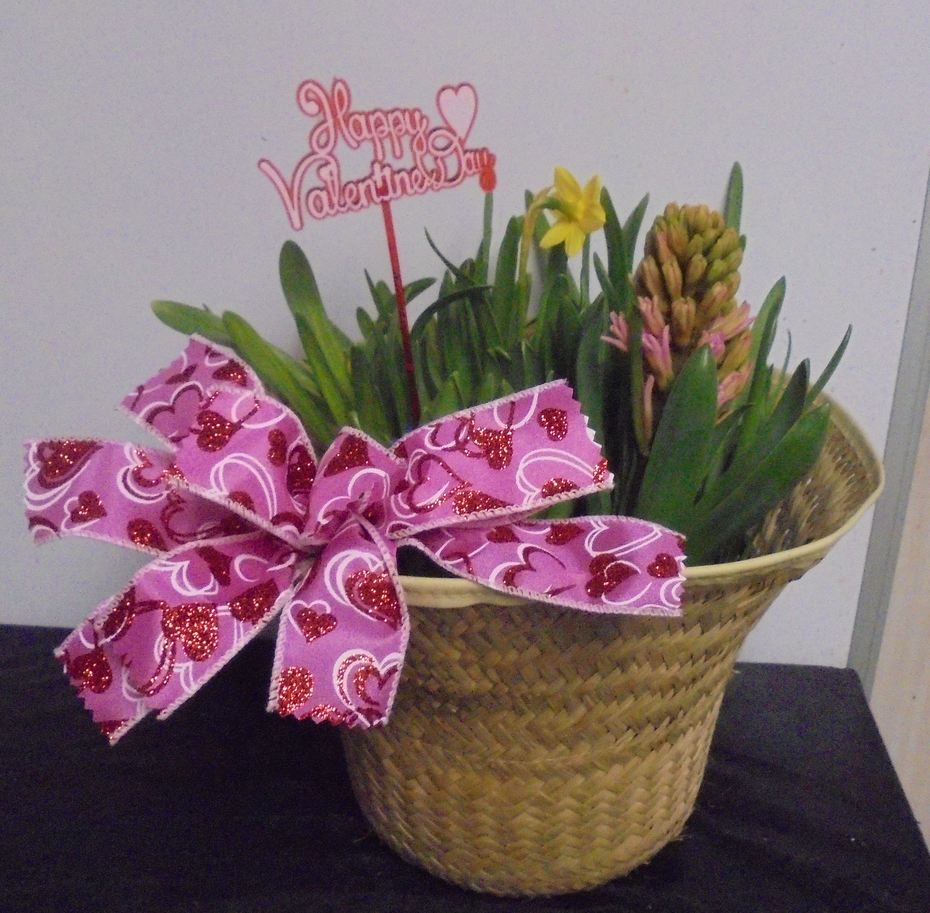 (5)   "Bulb" Garden Plant
$50.00
(2 Left)