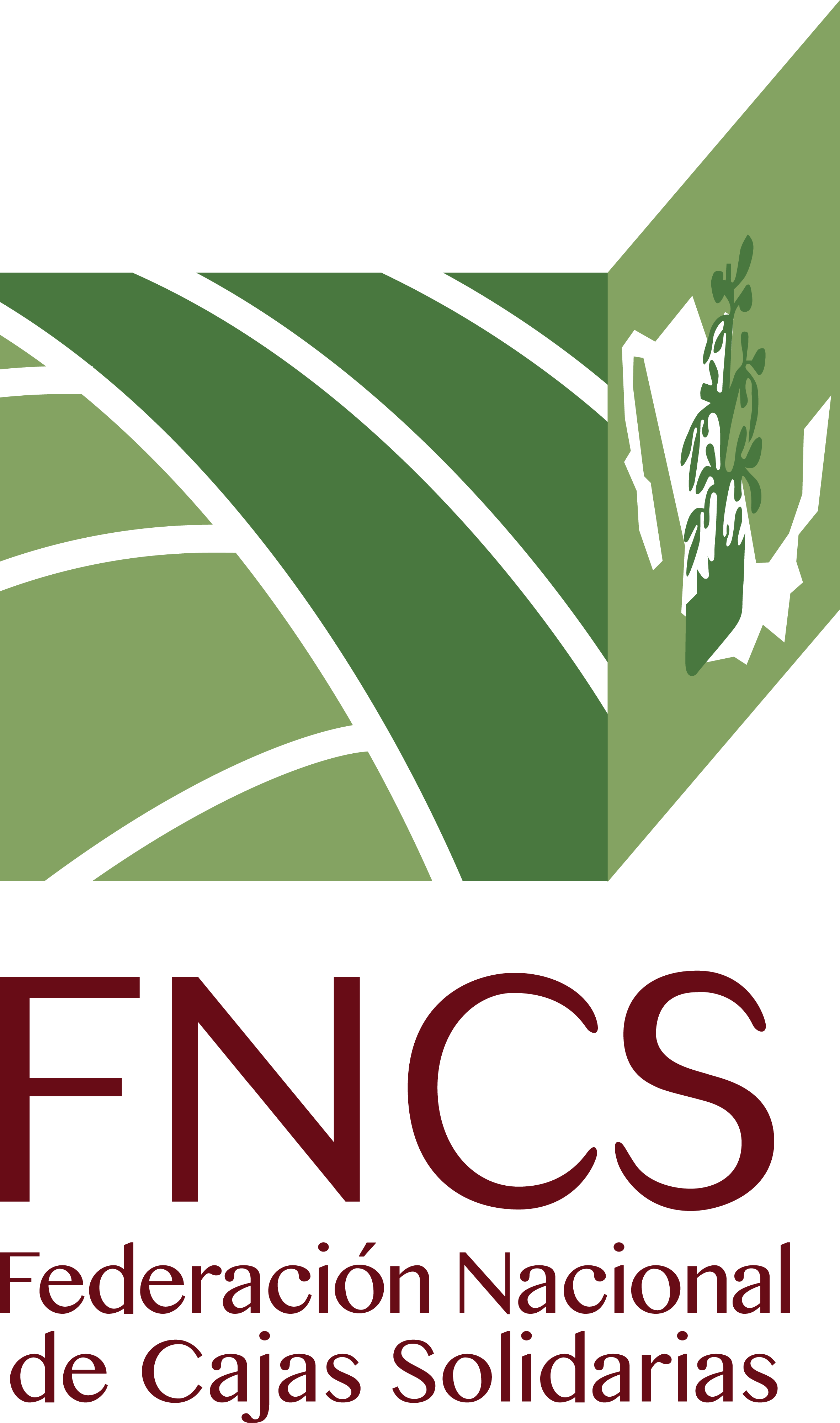 Federación Nacional De Cajas Solidarias
