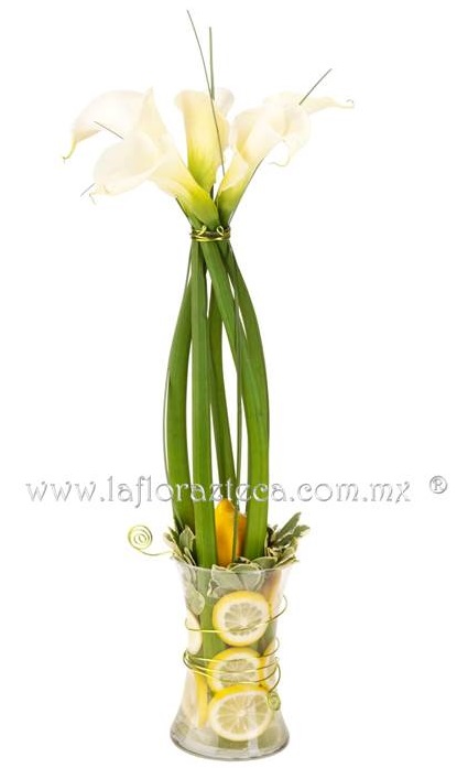 LFA-W002 Atado de Alcatraces
Precio $885