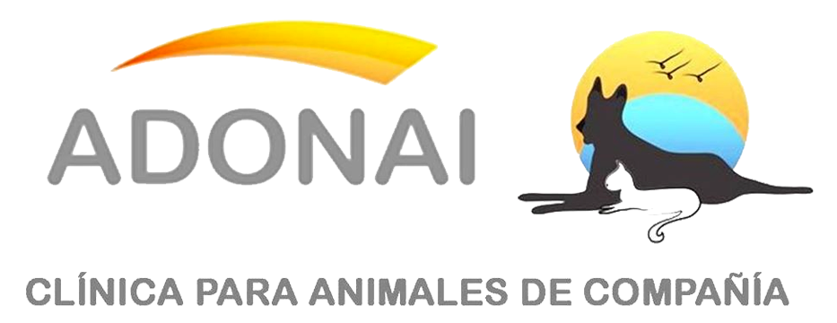 Consulta veterinaria en Querétaro 
