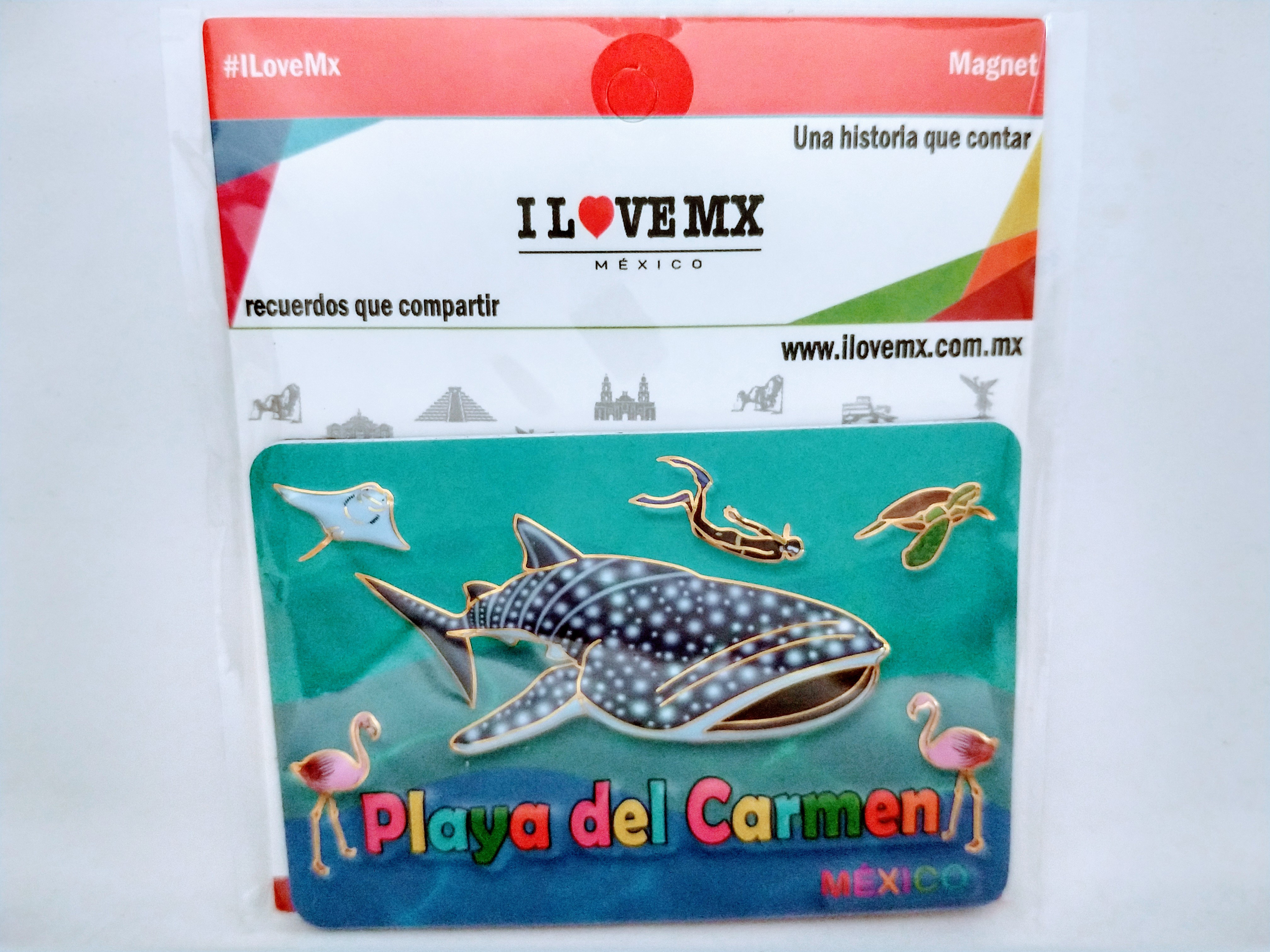 IMÁN RESALTADO
PLAYA DEL CARMEN
8cm Ancho
5.5cm Alto