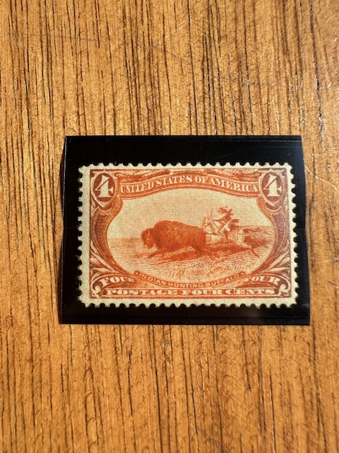 Indian Hunting Buffalo