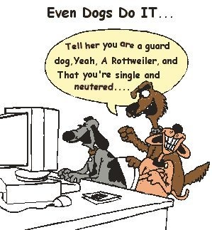 Send us your dog training comments.