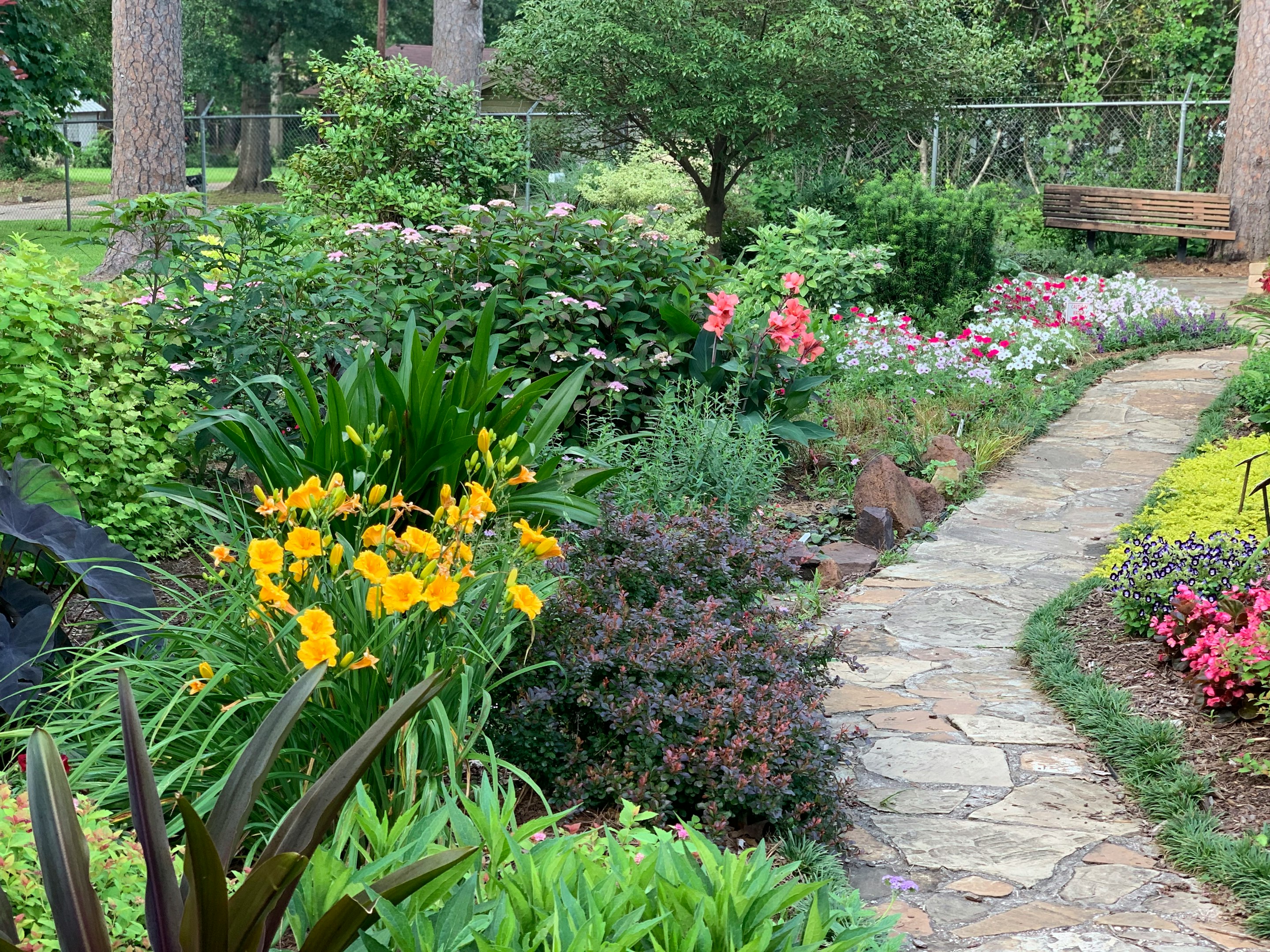 stone pathway in garden