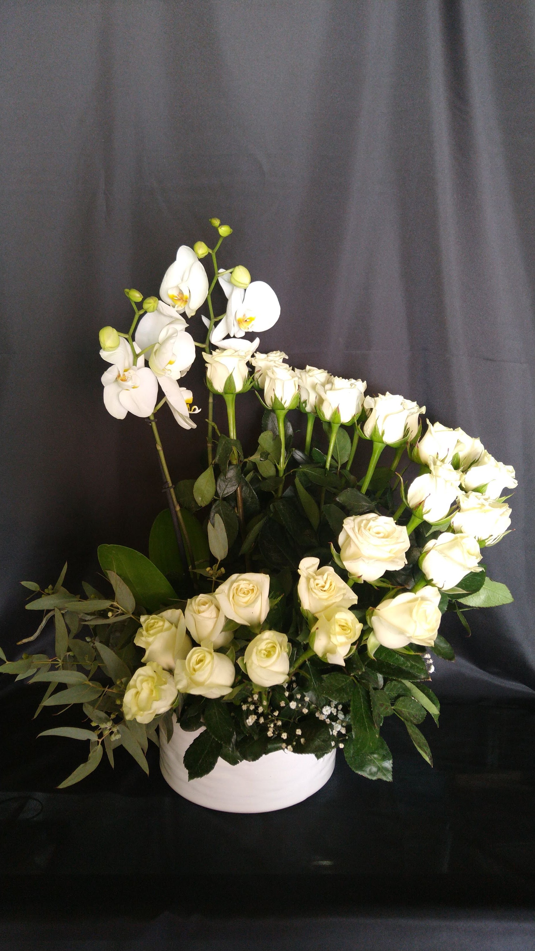 ESPIRAL DE ORQUIDEAS