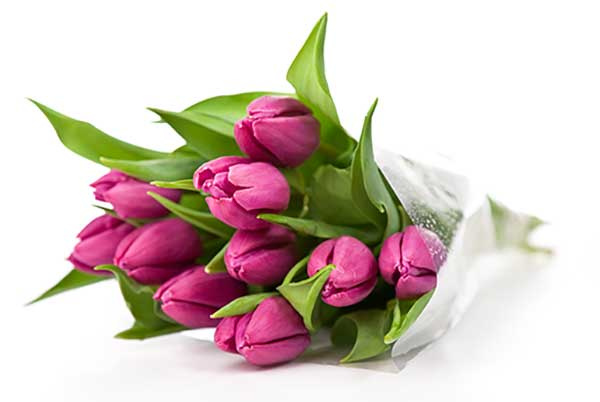 Arte y Diseño Floral - florería