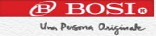 https://0201.nccdn.net/1_2/000/000/08a/7b9/BOSI.png