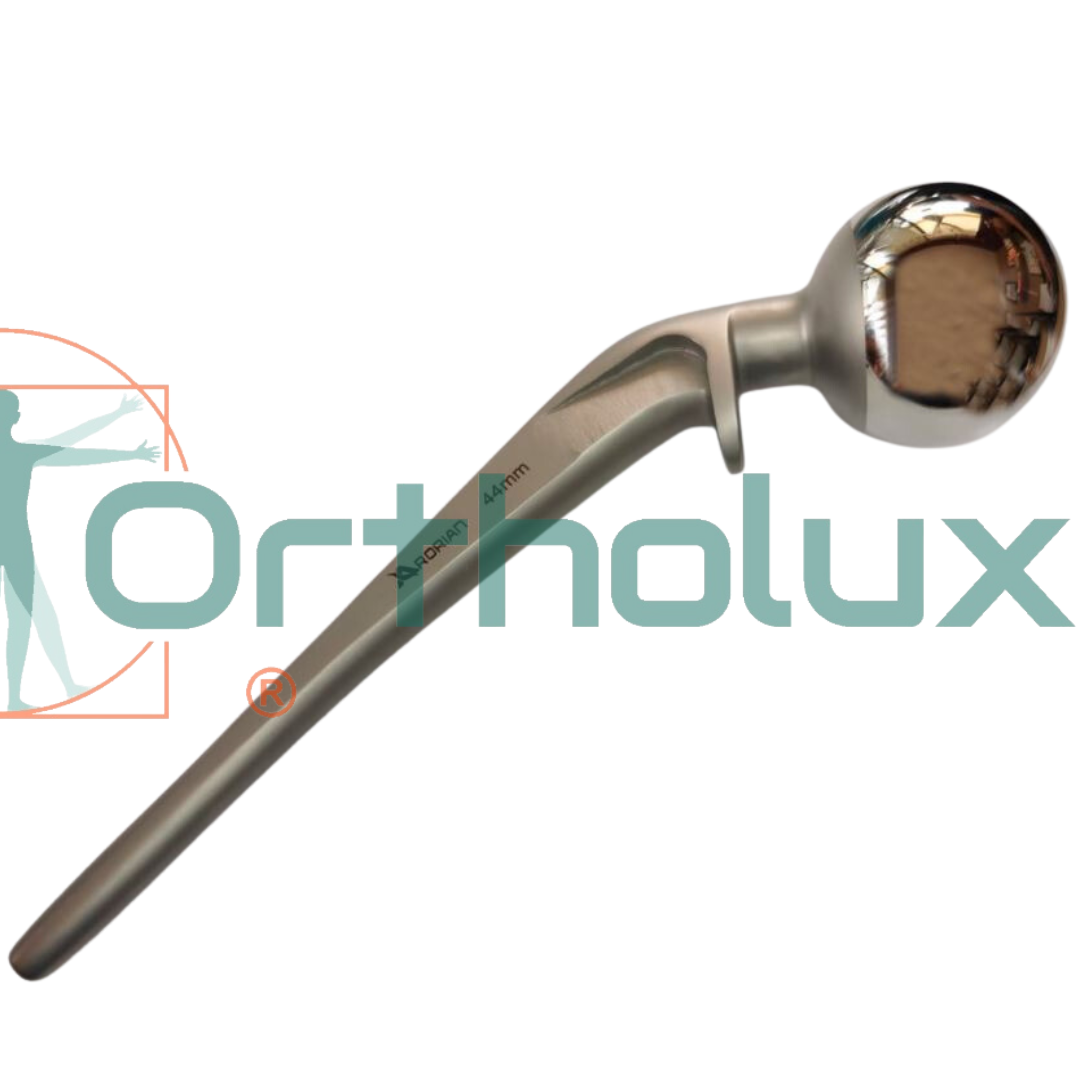 PRÓTESIS DE LAZCANO