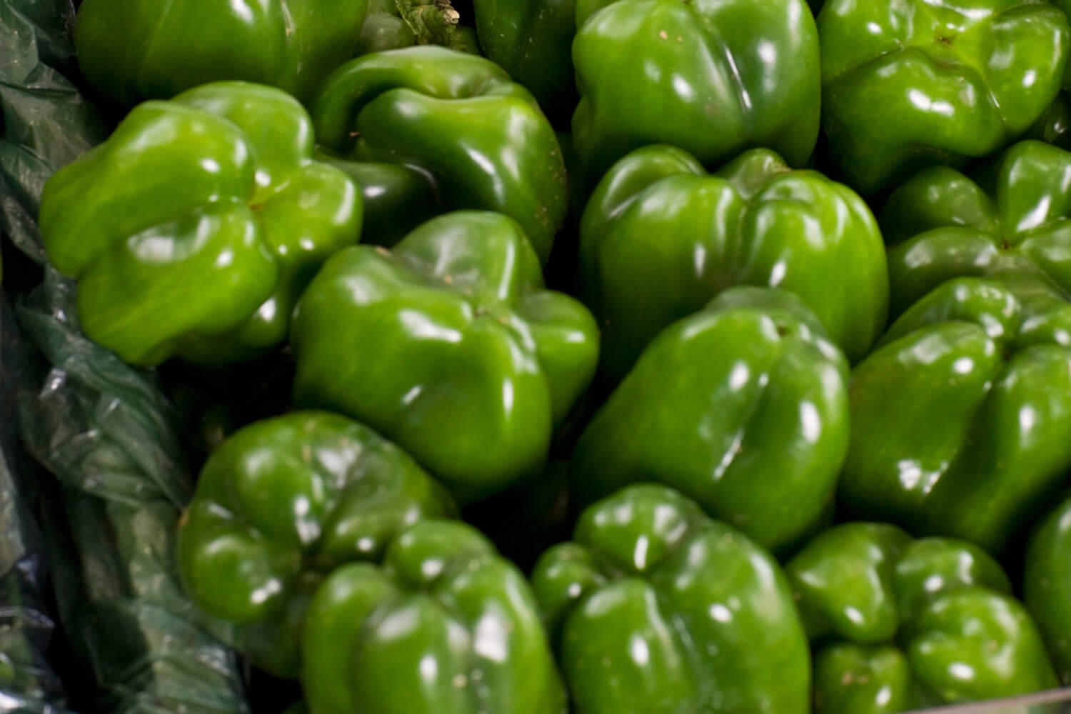 Súper Toño - Leche