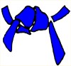 Blue belt Blue belt