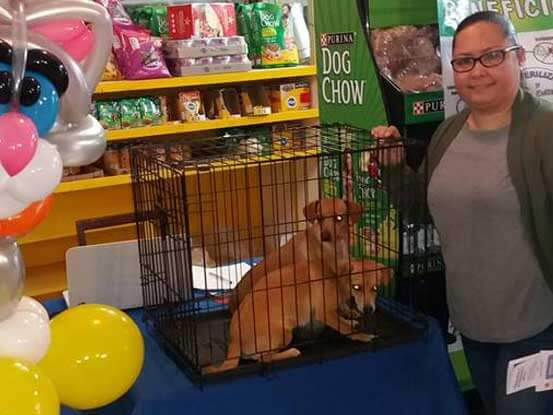 Forrajera y Veterinaria "Ortiz" - CONSULTAS MEDICAS