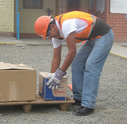 Mujer profesional trabajando en un ambiente de oficina moderna con pantallas digitales interactivas.