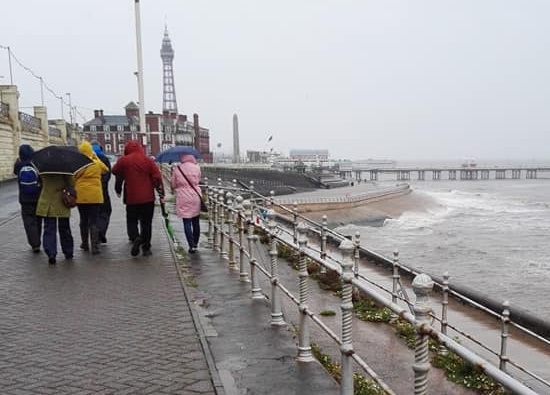 Guided tour participants walk along a rainy North Shore