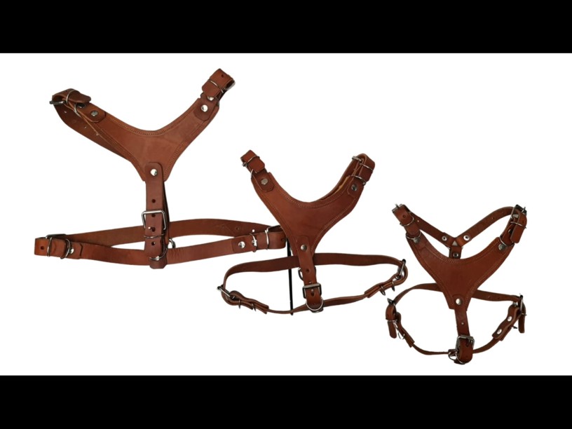 PECHERA PIEL ACEITADA