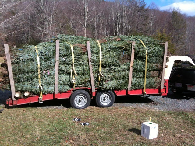 One of our customers preparing to head to the mountain with their first load of the season.