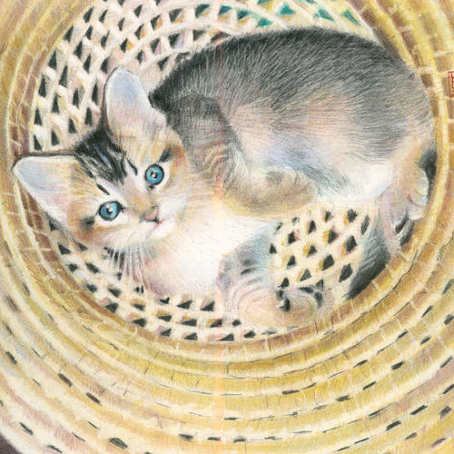 Pick of the Litter (7.5" x 7.5", coloured pencils on Arches HP)