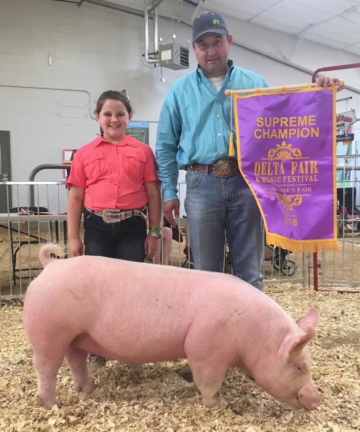 Ann Thomas Lowery
2018 Delta Fair & Music Festival
Open Show
Supreme Champion Overall
Champion Yorkshire Gilt