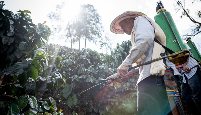 FUMICABOS - Cucarachas