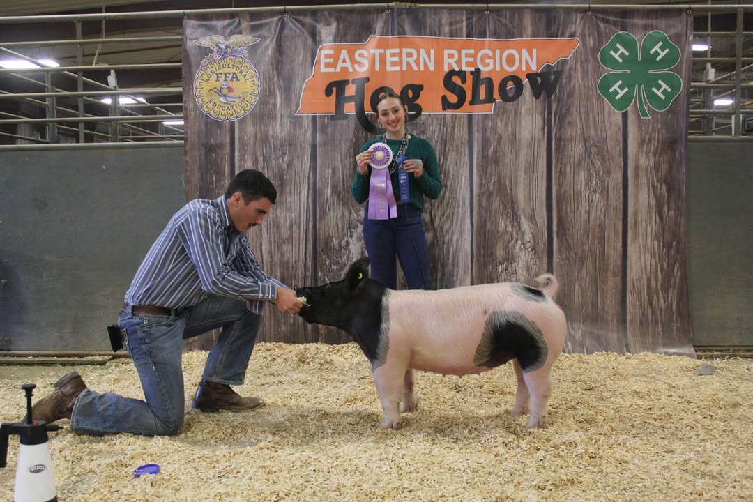 Izzy Clendenen
2025 TN Eastern Region Show
Reserve Champion Tennessee Bred
2025 Loudon County Show
Reserve Champion Breeding Gilt