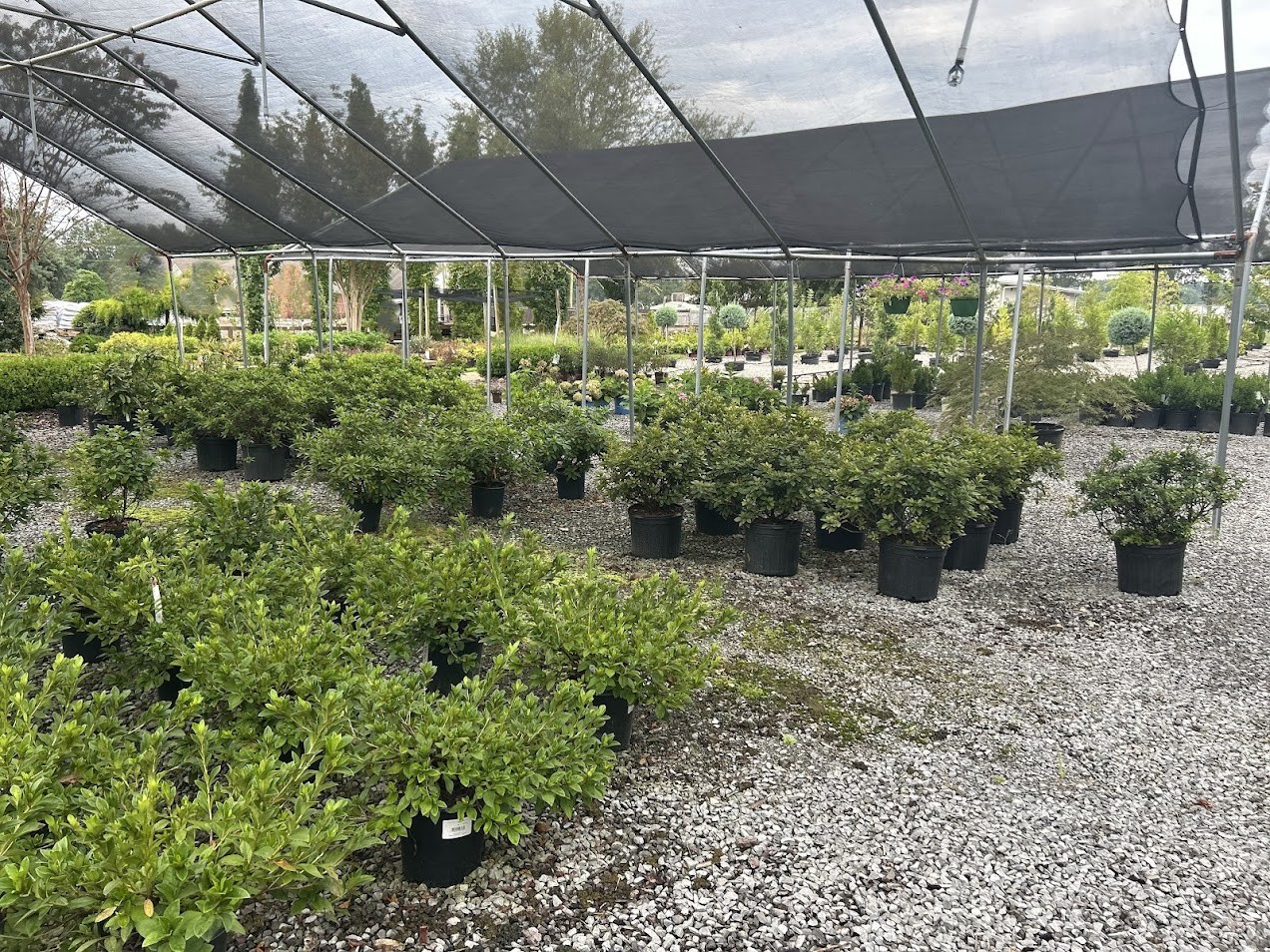 Beautifully landscaped front yard with colorful flowers, neatly trimmed hedges, stone pathway, and red brick house in the background.