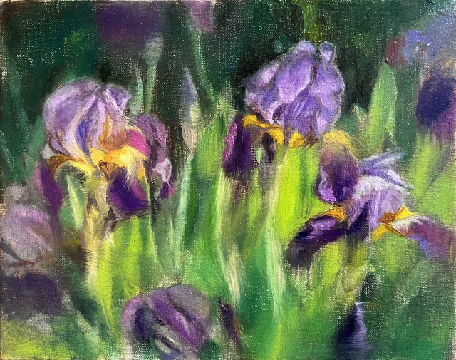Gomes, Purple Iris Garden, 8" x 10" Oil