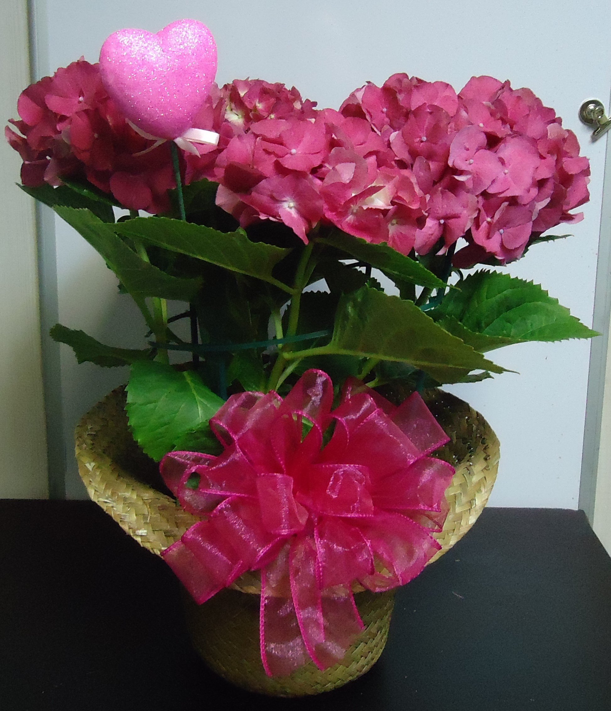 Bloomimg &quot;Pink&quot; Hydrangea
$45.00