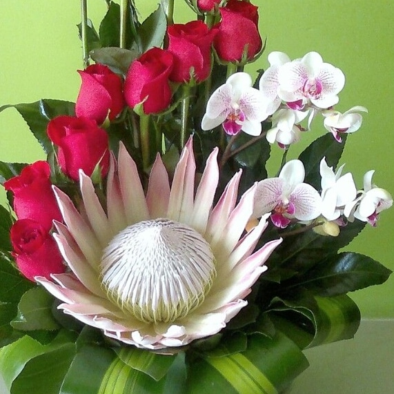 https://0201.nccdn.net/1_2/000/000/08e/0af/IMG-20190430-WA0091.jpg