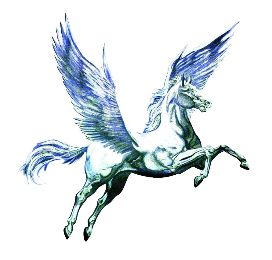 Pegasus Research Corporation