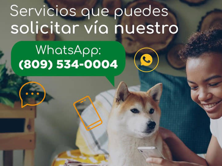 Abejitas Agro-Veterinaria - Atención a tus mascotas