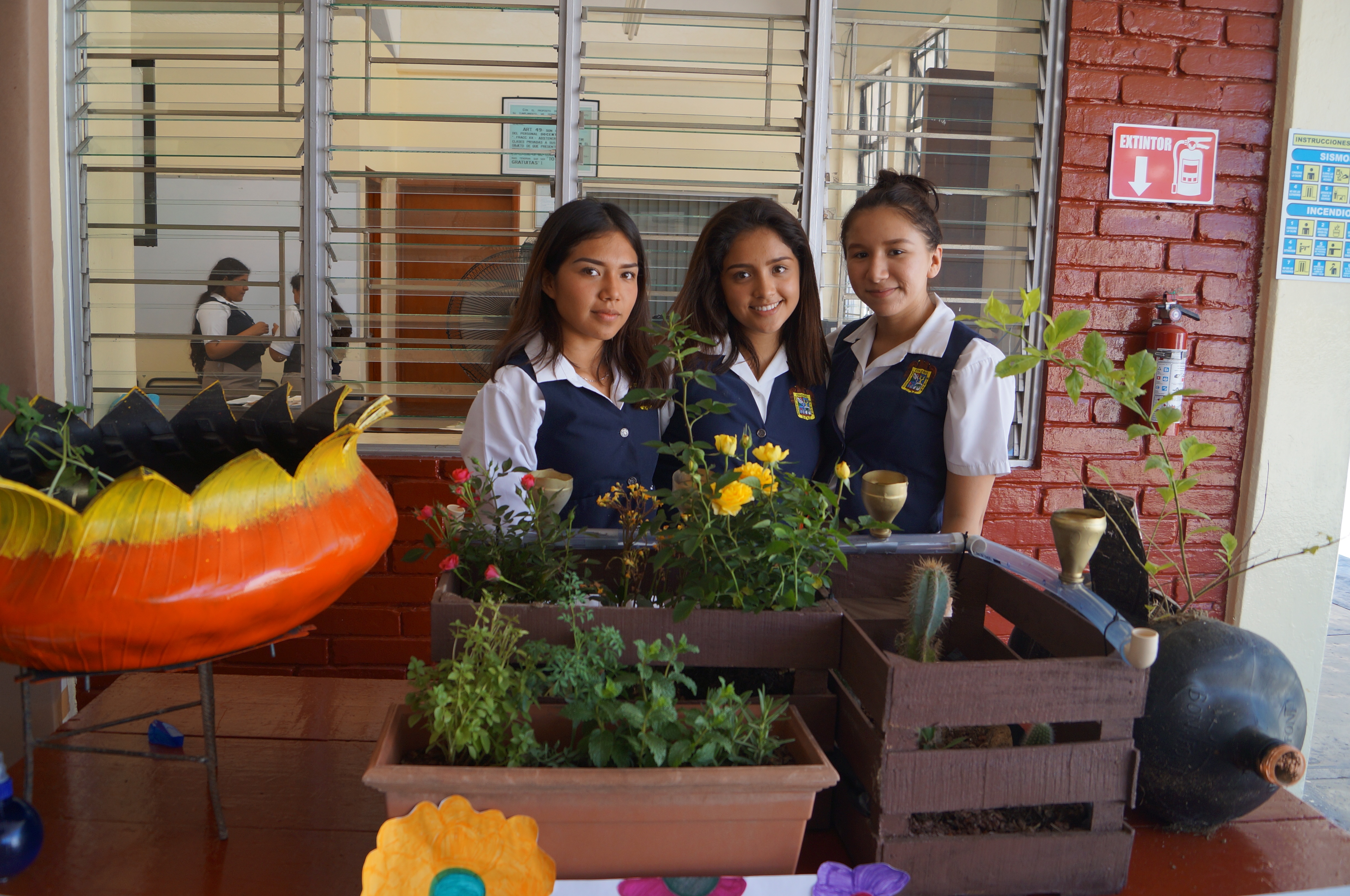 PROYECTOS ECOLÓGICOS
22 DE JUNIO DEL 2017