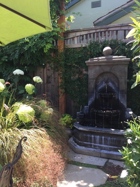 Moon Garden Colored Foliage 1