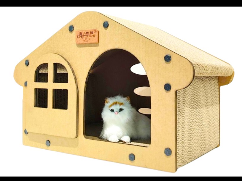 SA24 CAT-CASITA RASCADERO 
(KR-2428)