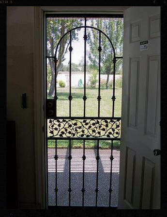 ENGLISH IVY  STEEL SCREEN DOOR 
LOOKING OUT FROM INSIDE