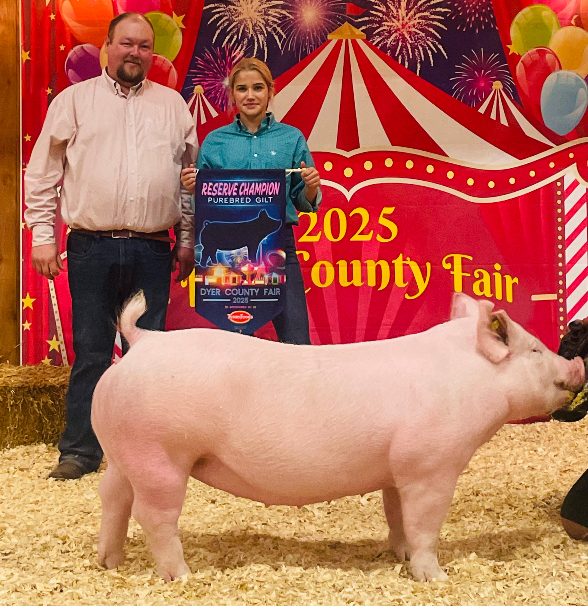 Cara Roach
2025 Dyer County Fair
Champion Yorkshire Gilt
Reserve Supreme Overall Gilt