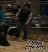 Clay Prater
2nd in Class
2015 TN State Market Hog Show