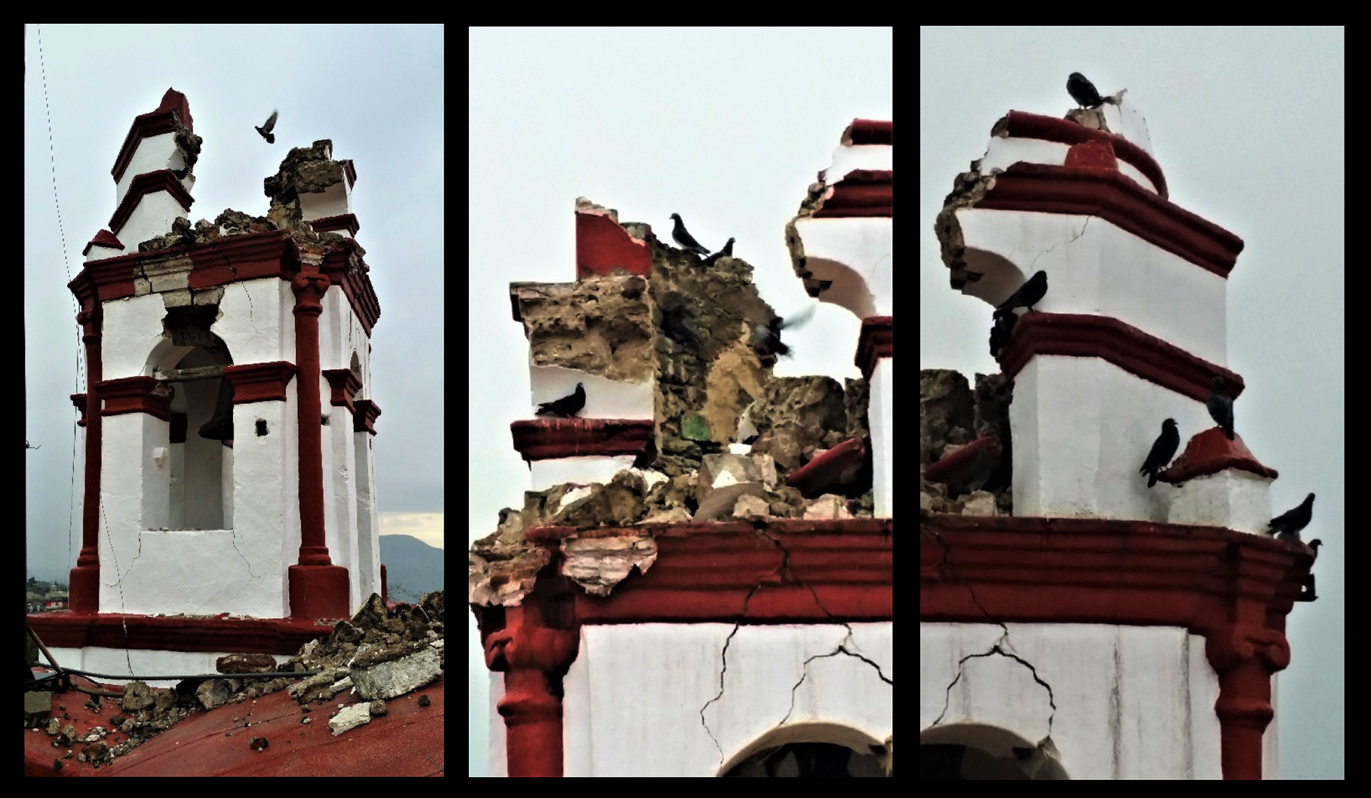 San Lorenzo Tlacoyucan: Después del movimiento telúrico las palomas buscan su nido y encuentran refugio entre las ruinas.