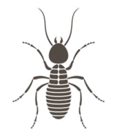 The Team At Bug Termite Pest Control Co Looks Forward To Providing Professional Pest Control In Venice Fl