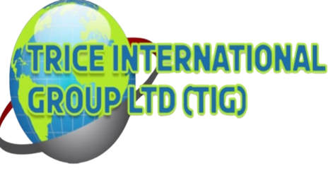 Trice International Group Ltd