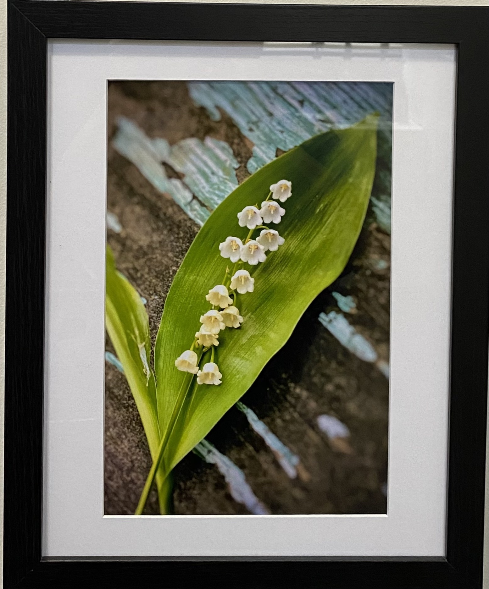 Lily of the Valley
Photography
8" X 12"
$95.
