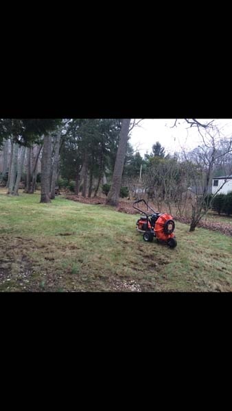 Fall And Spring Cleanup Services