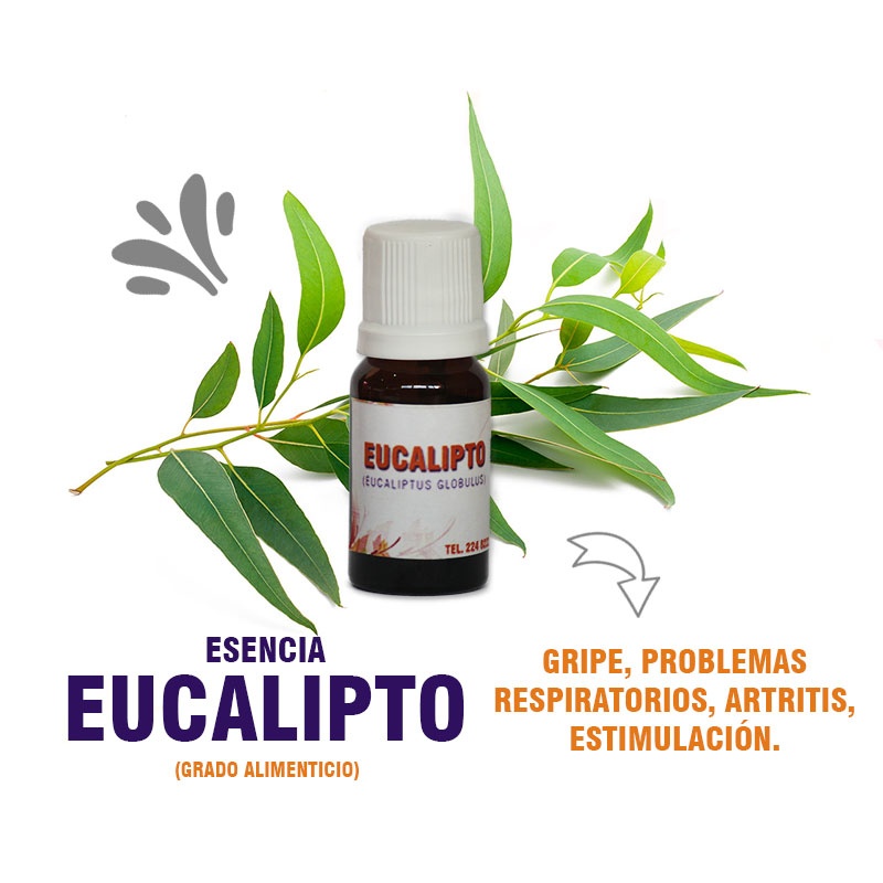 Akire Essence - Esencia de eucalipto