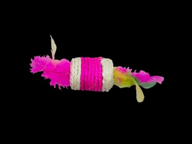 FL8745 JUGUETE CILINDRO 
C/PLUMAS