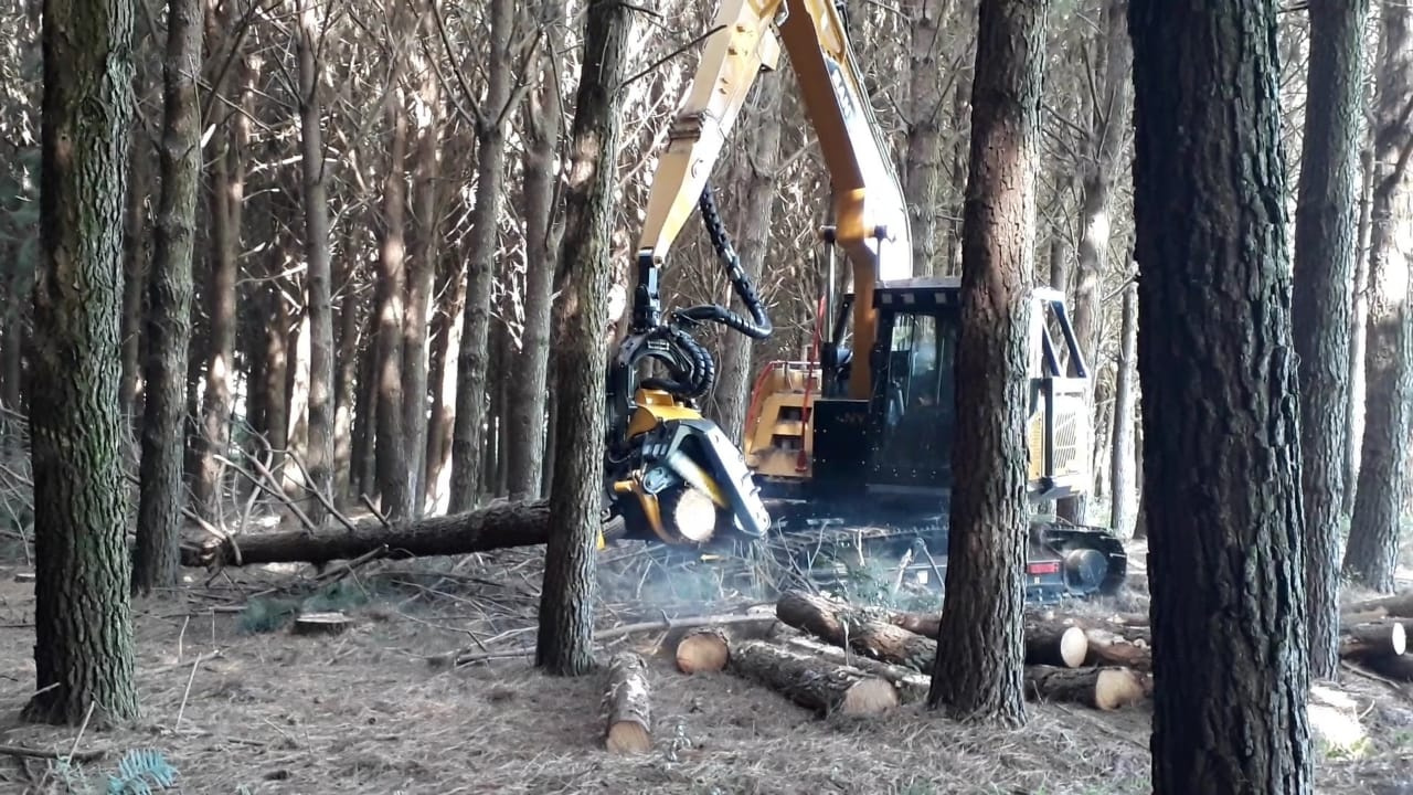 PROCESSAMENTO HAVESTER H6