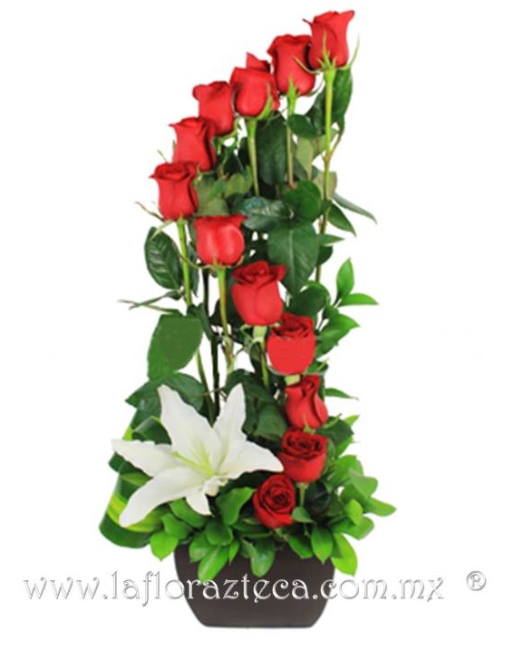 LFA-301 Escalera de Rosas
Precio $990
