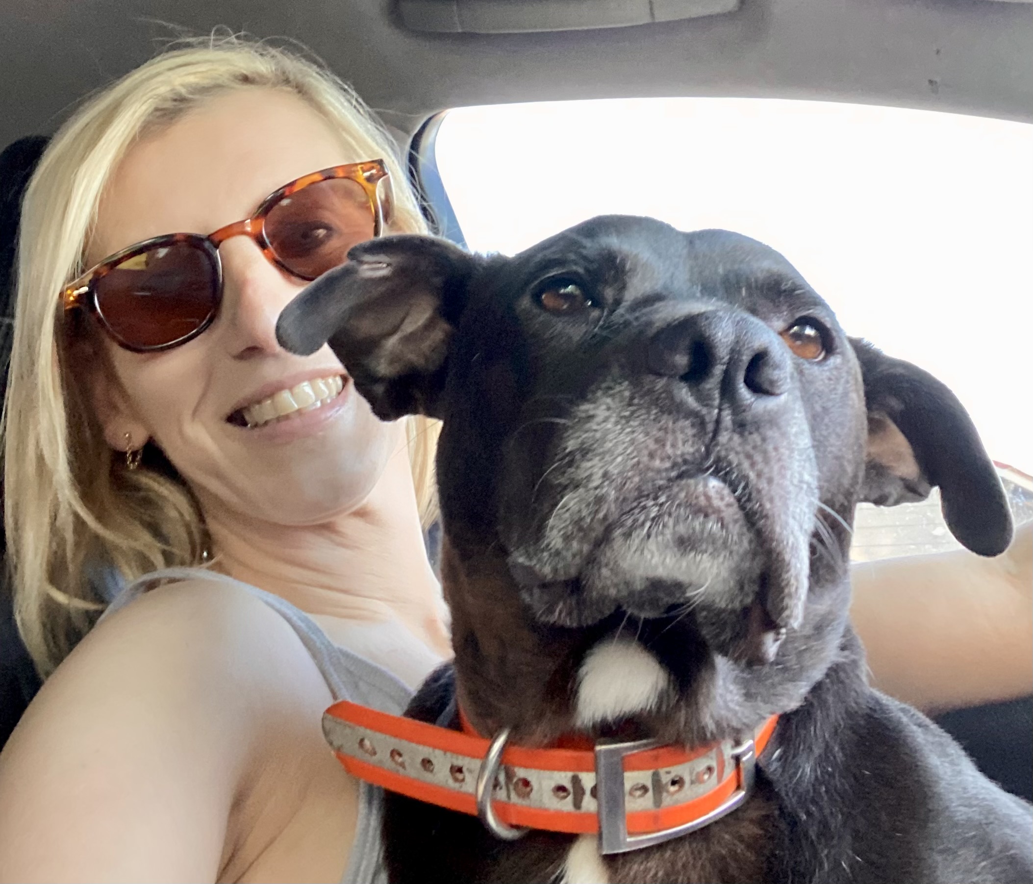 A blonde woman with a black dog on her lap A blonde woman with a black dog on her lap